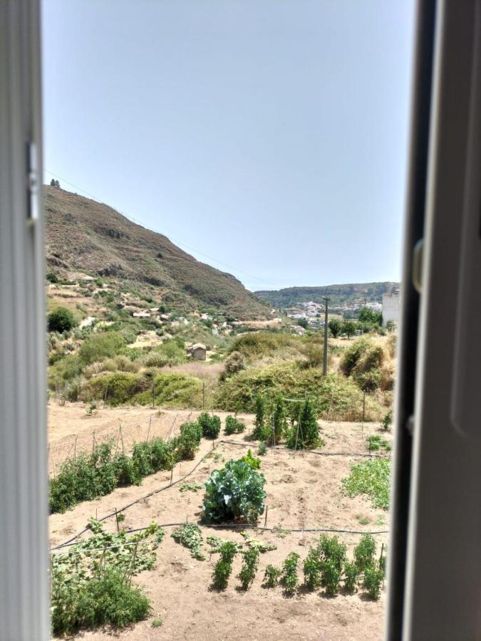 Casa Azul Mountain Retreat Daire Vega de San Mateo Dış mekan fotoğraf